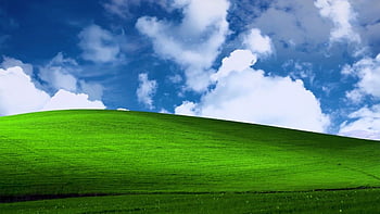 The iconic Microsoft wallpaper image was taken in Sonoma County Now its  become a meme