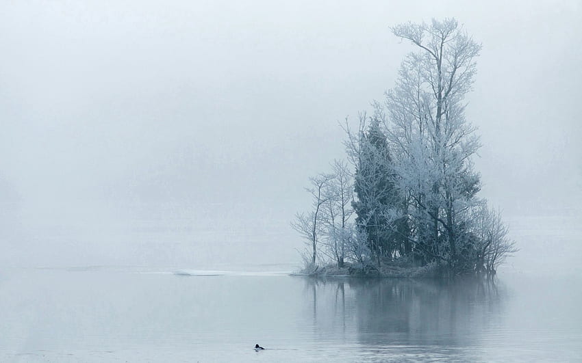 Natur, Bäume, Nebel, Morgen, Frost, Rauhreif, Insel, Dunst, Inselchen HD-Hintergrundbild