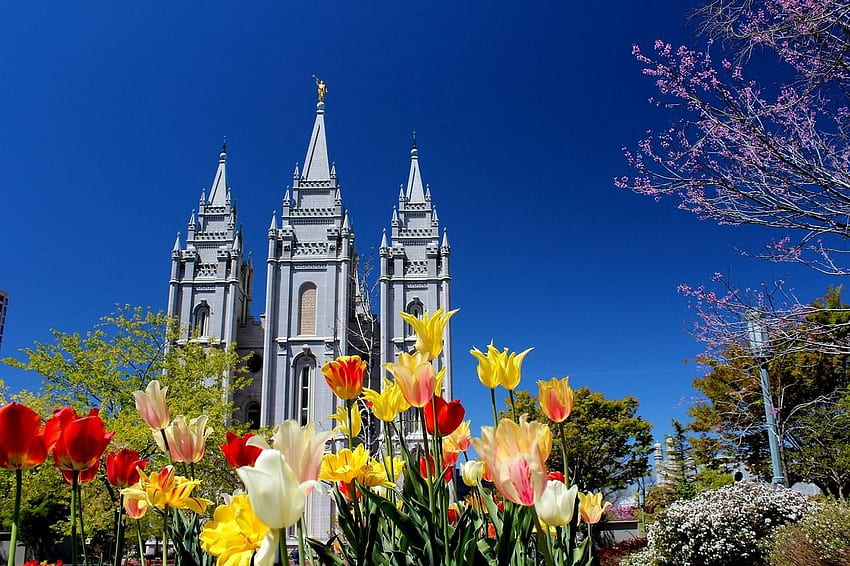 Mormon Temples, Salt Lake Temple HD wallpaper