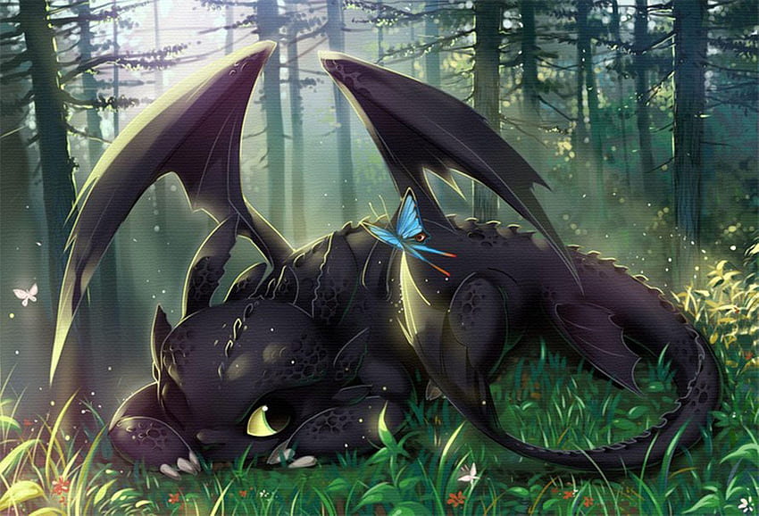 Httyd, Cool Toothless HD wallpaper