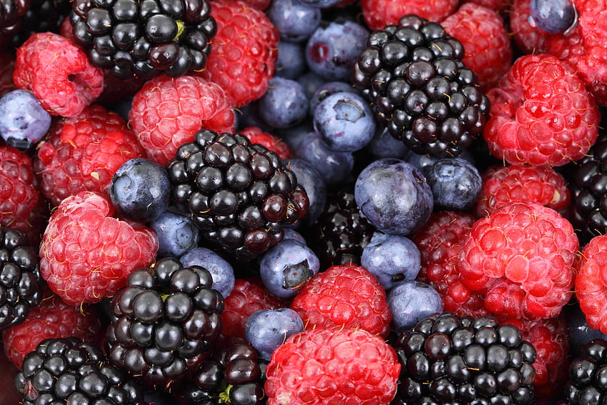 Food, Raspberry, Bilberries, Berries, Blackberry HD wallpaper