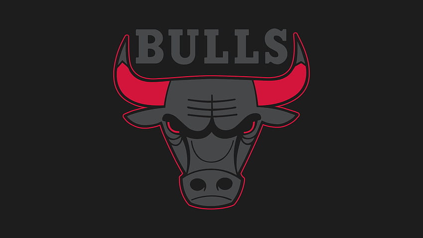 Chicago Bulls Logo 16 ios Backgrounds wfz, que vous pouvez utiliser comme Fond d'écran HD