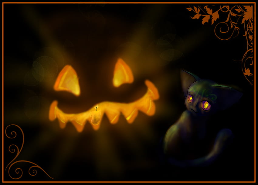 Pumpkin Cat, black cat, halloween, glowing, pumpkin, orange HD wallpaper