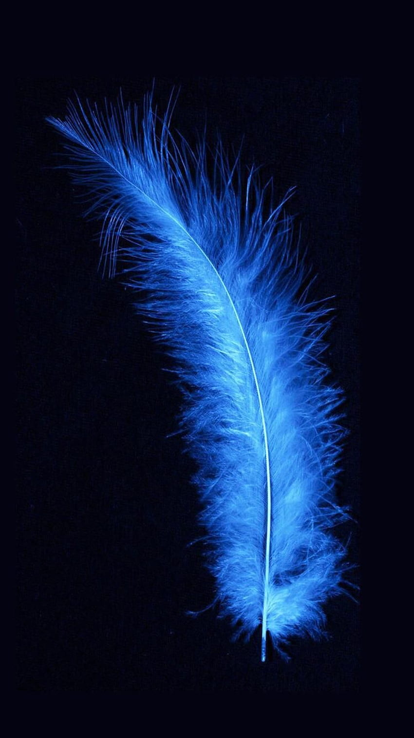 Glowing blue feather in black background!! ed from .. Feather , Blue iphone, Skull HD phone wallpaper