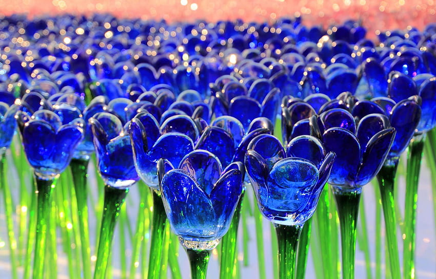 Tulip - Blue Tulip -, Tulips HD wallpaper