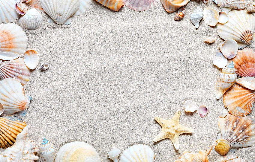 sand, beach, frame, shell, sand, starfish, Seashells HD wallpaper
