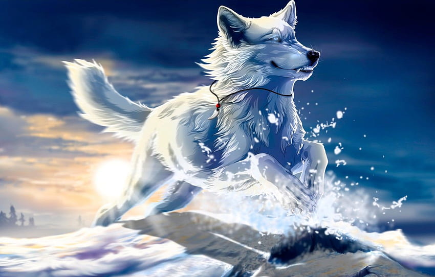 white, the sun, snow, sunset, jump, Wolf, art, Fang, be , wolfroad for , section животные HD wallpaper