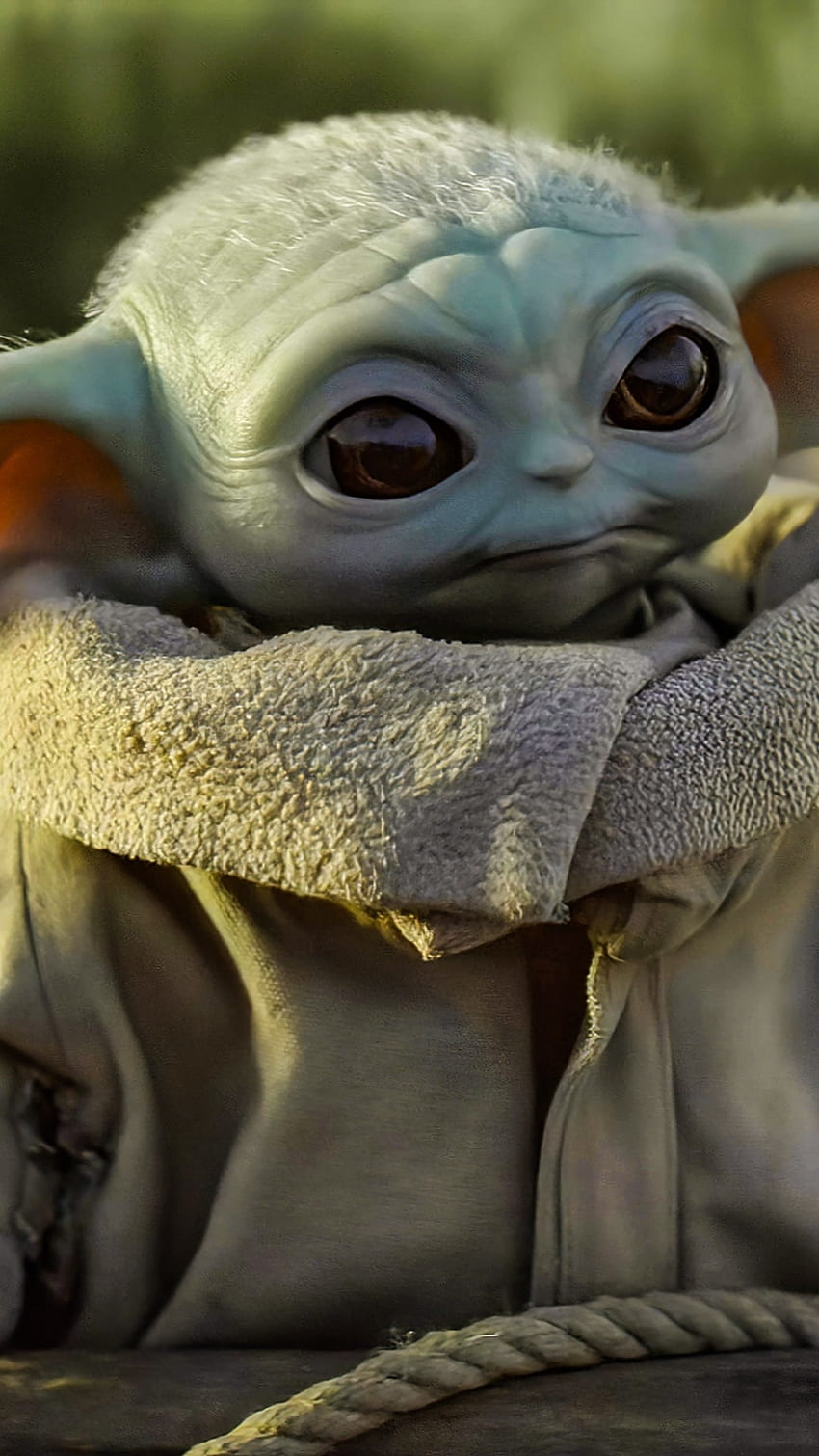Baby Yoda, mandaloriano Grogu fondo de pantalla del teléfono