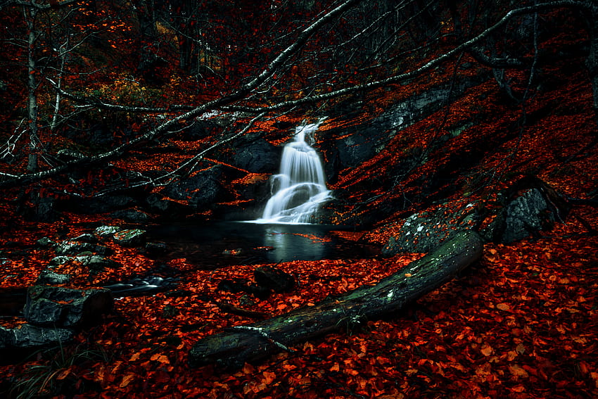 Jesień, czerwone liście, las, wodospad, rzeka, strumień wody Tapeta HD