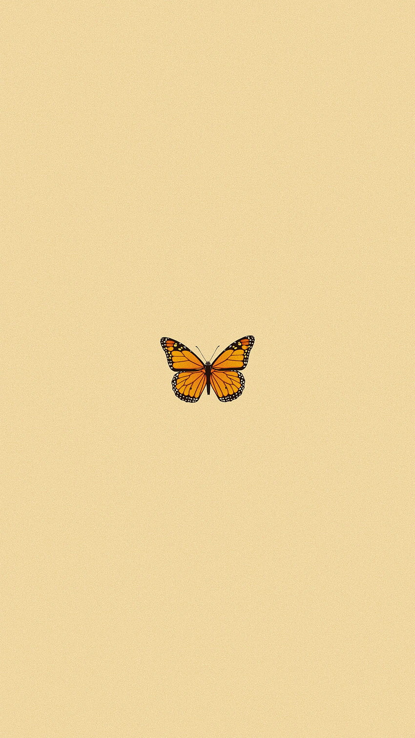 Aesthetic Butterfly, Yellow Butterflies HD phone wallpaper | Pxfuel