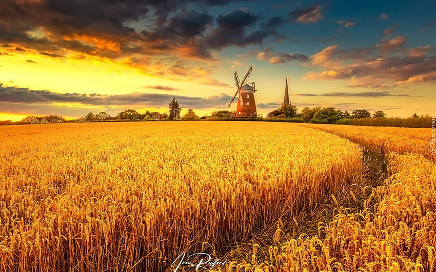 Cornfield and Windmill, clouds, windmill, cereals, field HD wallpaper