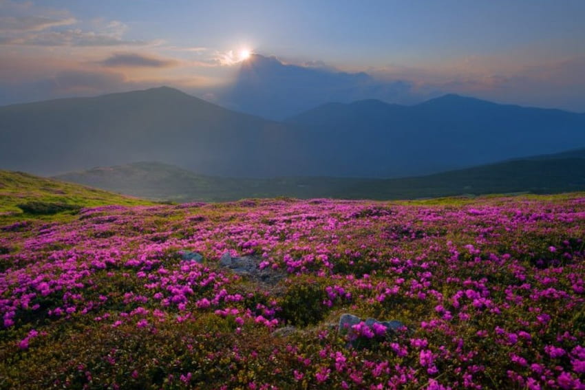 purple, sky, nature, mountain HD wallpaper
