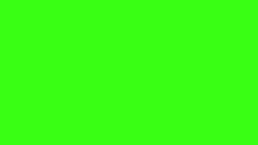 색상 라임 그린. 일반 네온 녹색 배경... HD 월페이퍼