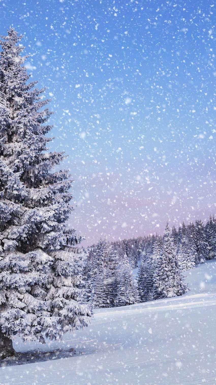 14++ Winter Wonderland iPhone Xr HD phone wallpaper | Pxfuel