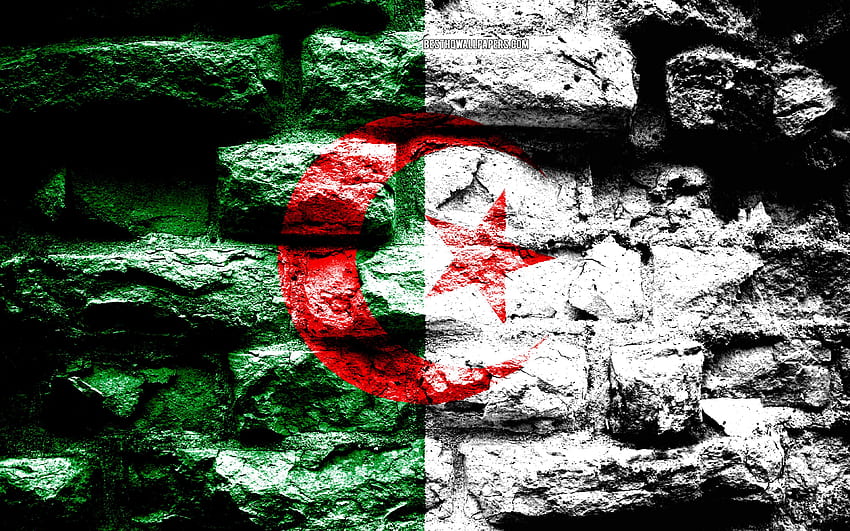 アルジェリアの旗、グランジ レンガ テクスチャ、アルジェリアの旗、レンガの壁の旗、アルジェリア、アフリカ諸国の旗の解像度. 高品質 高画質の壁紙
