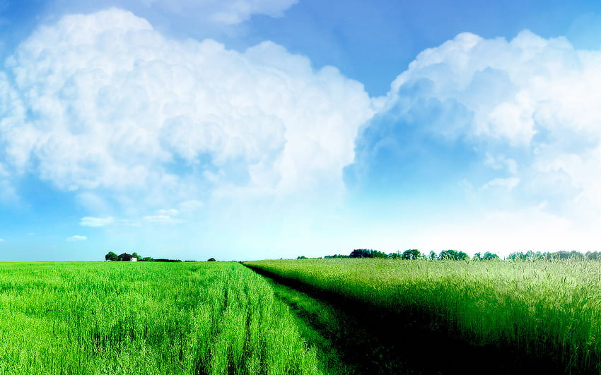 campo verde, paisajes, arte, nubes, campos, granjas, cielo fondo de pantalla