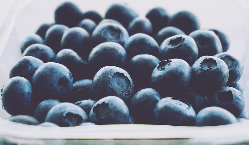 Close up, fruits, blueberry HD wallpaper