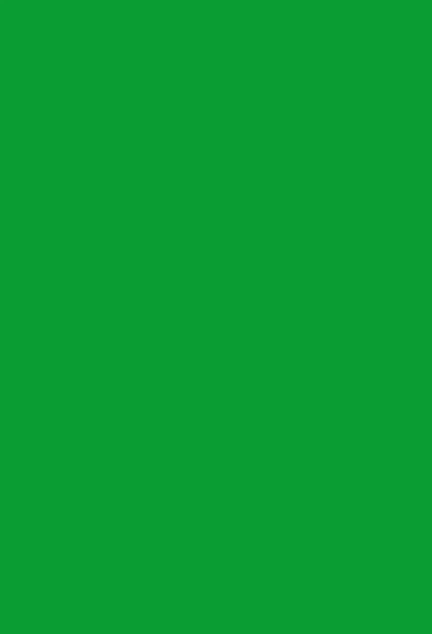 Green Backdrops Pure Color Background ブース背景幕, 無地 ダークグリーン HD電話の壁紙