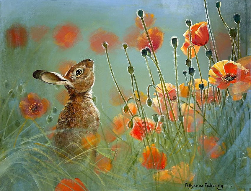 กลิ่นหอมของฤดูร้อน ดอกป๊อปปี้ วาด ดอกไม้ ดอกไม้ กระต่าย วอลล์เปเปอร์ HD