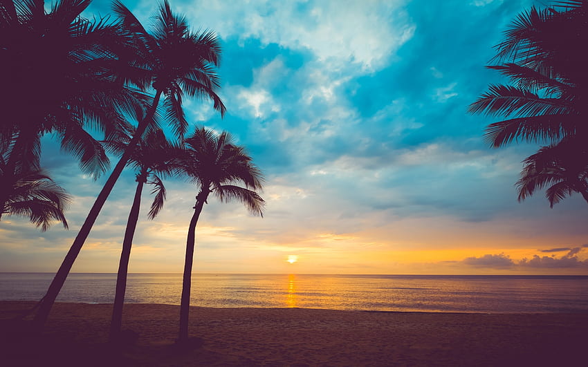 Zachód słońca, błękit, morze, plaża, lato, palma, niebo, vara, sylwetka, chmura Tapeta HD