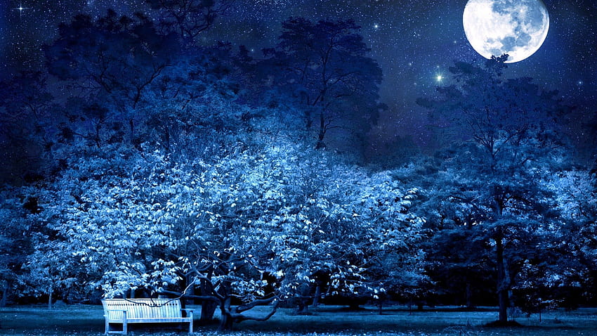 lua em um céu estrelado sobre o banco do parque, banco, lua, árvores, estrelas, parque papel de parede HD