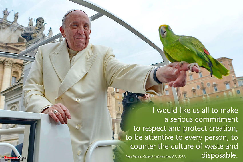 Papież Franciszek „Zielony” - Krzyż Południa Tapeta HD