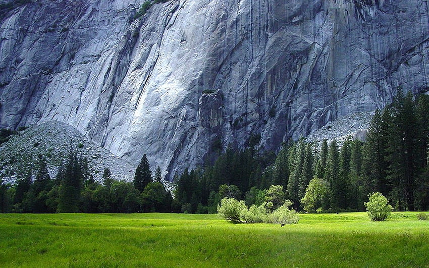 landscape, rock, field, trees, outdoors., Pegunungan HD wallpaper