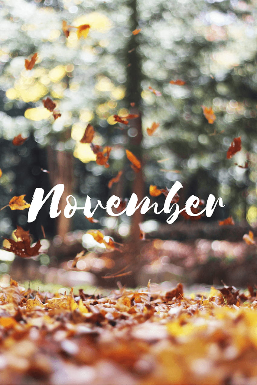 Download Hello November Be Thankful Wallpaper  Wallpaperscom