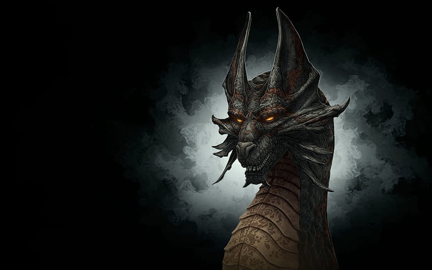 Dragon noir, Dragon haute définition Fond d'écran HD