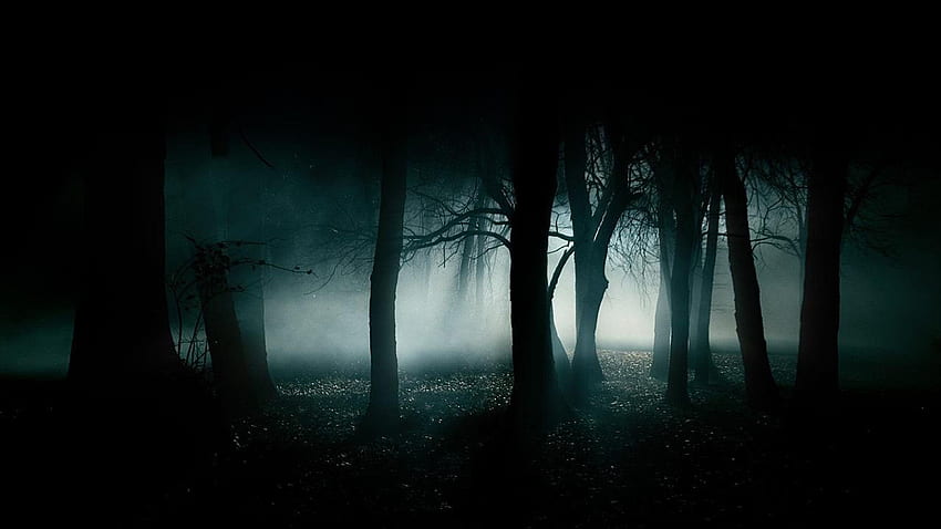 Dark, Anime Dark Forest HD wallpaper | Pxfuel