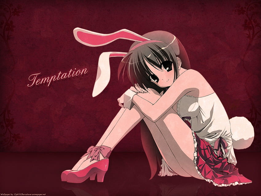 Bunnygirl, gaun merah muda, mata cokelat, anime, pia wortel, godaan Wallpaper HD
