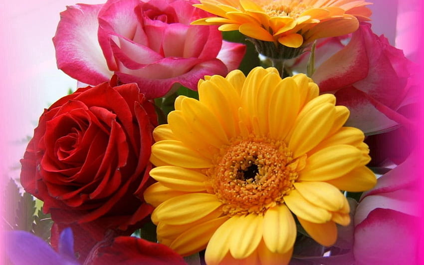 Flowers, Roses, Gerberas, Close-Up, Bouquet HD wallpaper