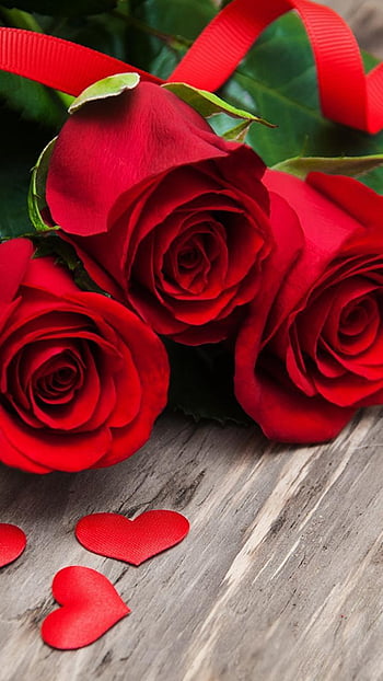 Page 39 | in love with roses HD wallpapers | Pxfuel