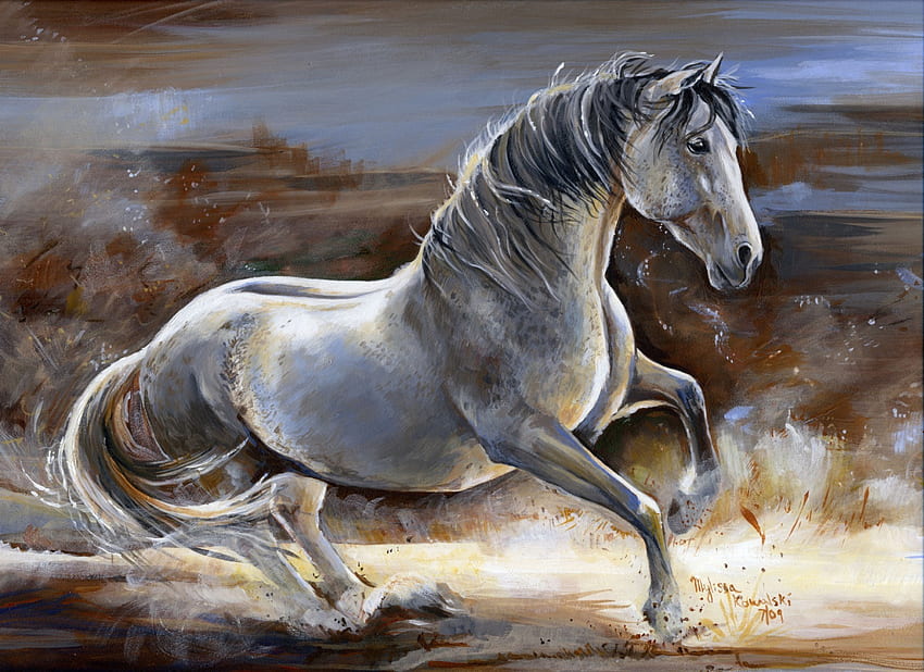 スペインの牝馬、スペイン、アンダルシア、馬、牝馬、灰色の肖像画 高画質の壁紙