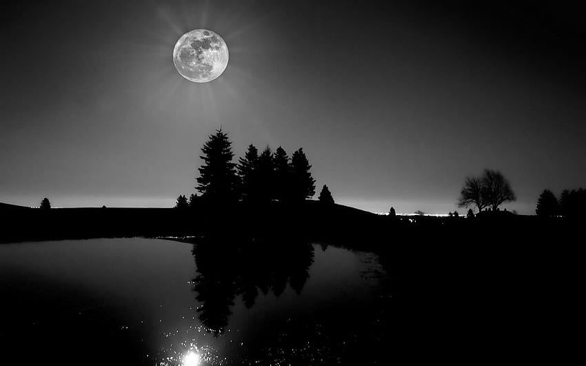 Nature & Landscape Black And White Moon Light . Black HD wallpaper | Pxfuel