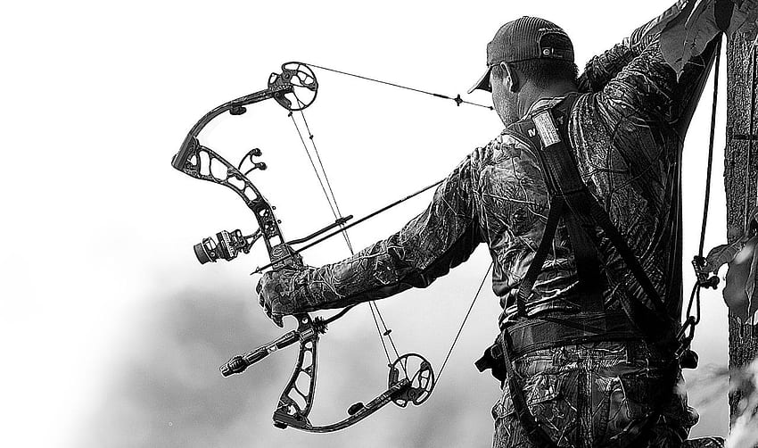 Elite Archery, Compound Bow Arrow HD wallpaper