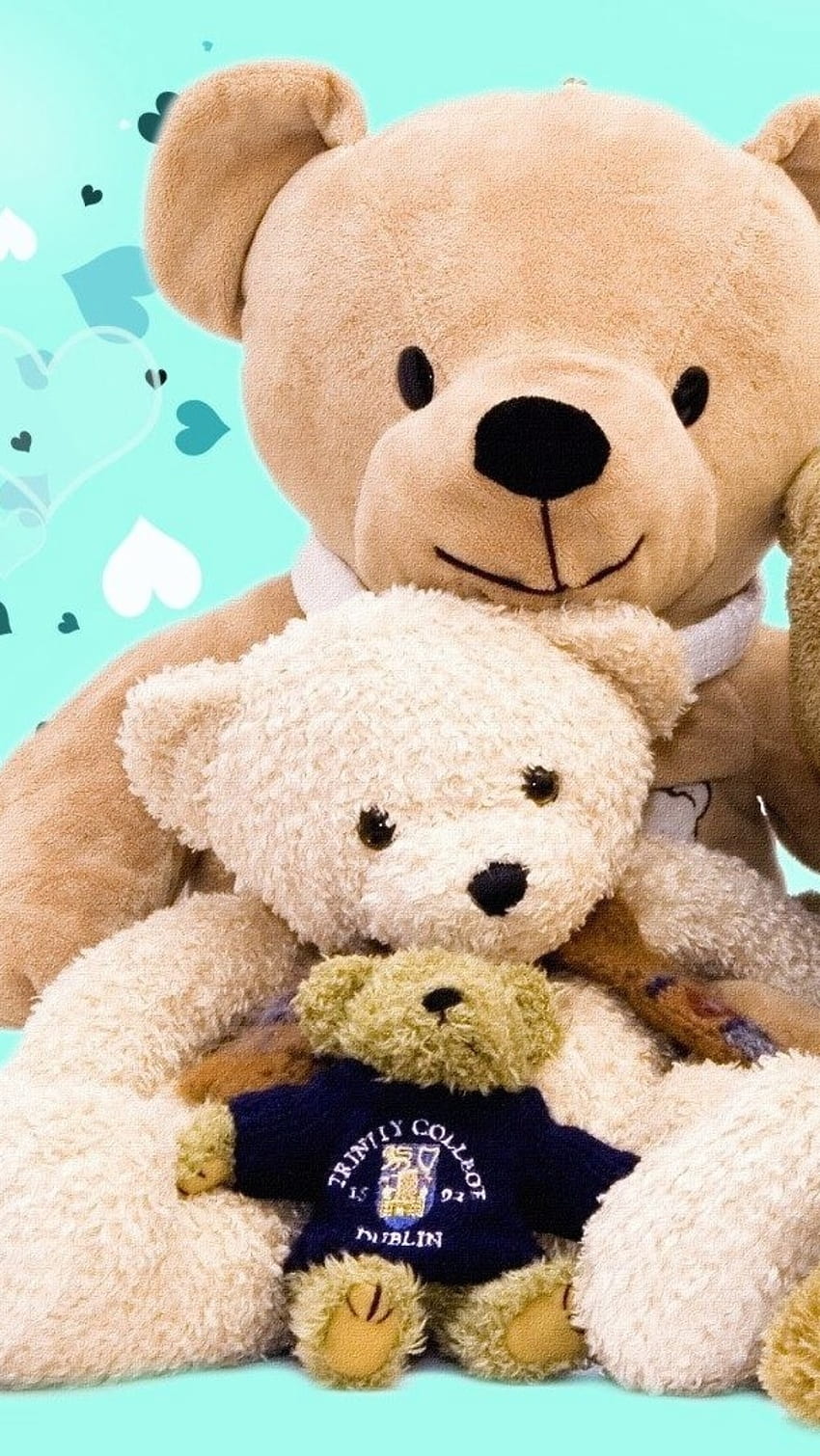 Beautiful Teddy Bear, Cute, Teddy Bear Family, teddy bear, family HD phone wallpaper