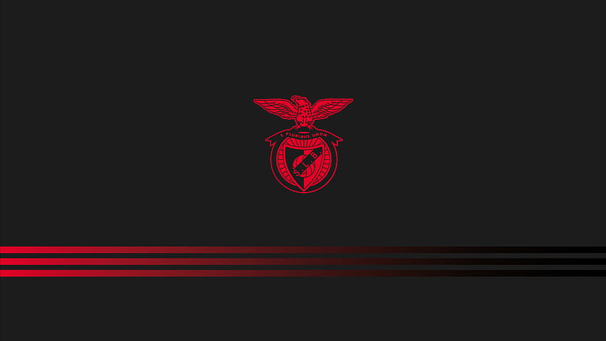 Zaynof - Sl Benfica HD-Hintergrundbild