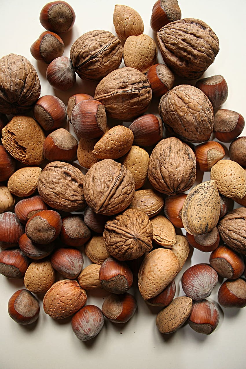 : nut, nuts, food, shell, delicious, healthy, brown HD phone wallpaper