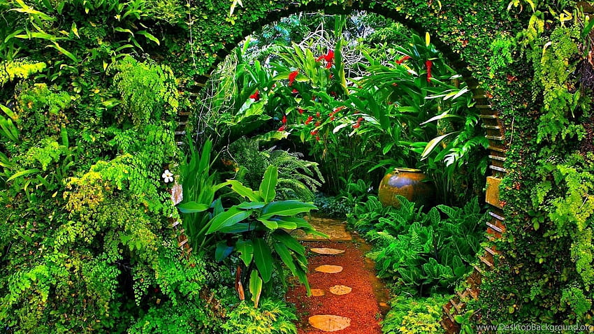 Garden Aesthetic Garden, Plants Aesthetic HD wallpaper