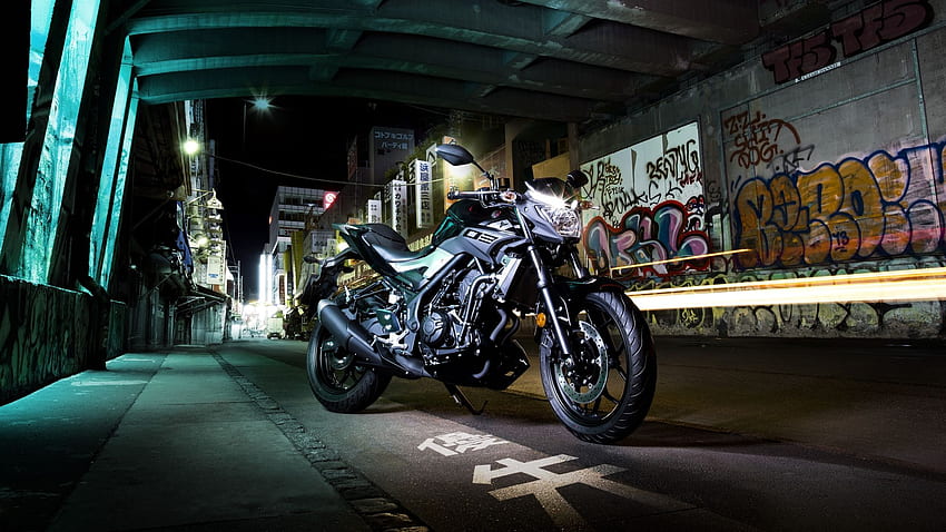 Yamaha MT 03 Price Announced, Still No News About It Going, Yamaha MT-03 HD wallpaper