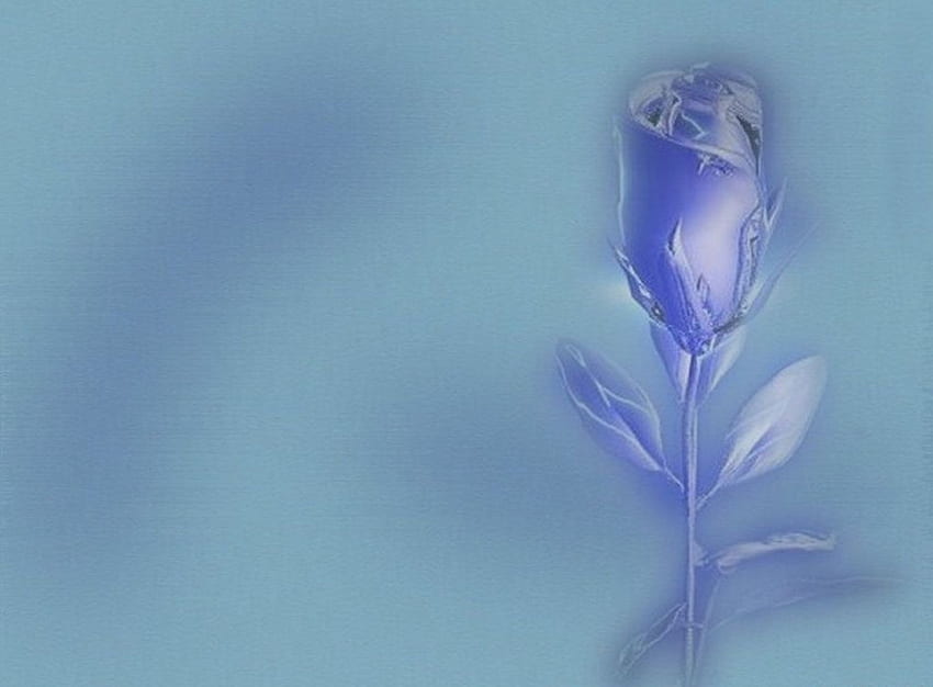 Electra flor, flores, 3d papel de parede HD