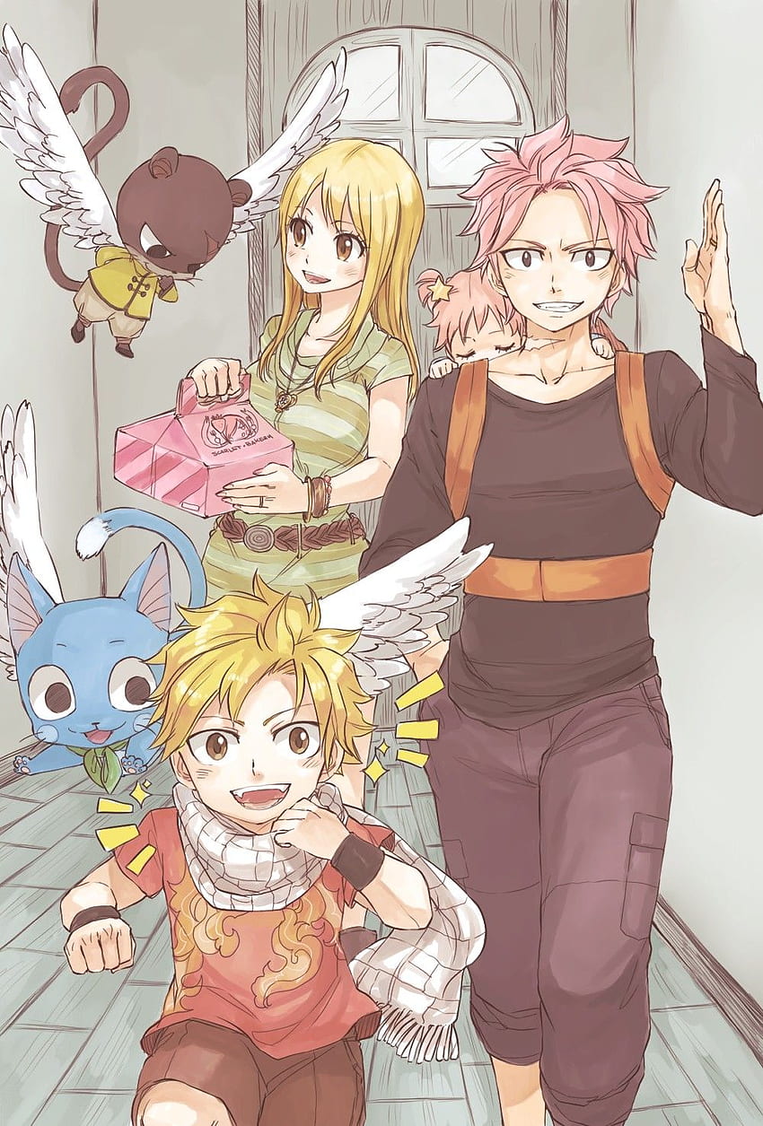 Natsu, dragneel, dragnir, end, fairytail, nalu, natsu dragneel,  natsudragnir, HD phone wallpaper | Peakpx