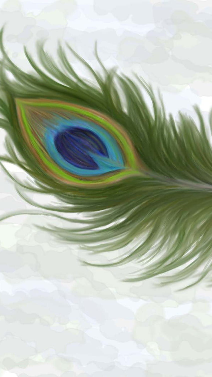 Peacock Feather, Morpankh, Art HD phone wallpaper | Pxfuel