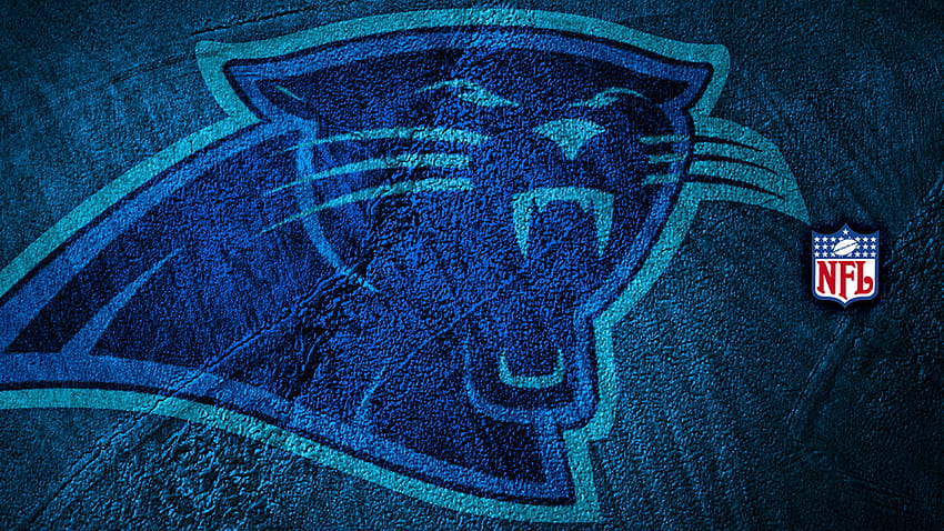 33 Carolina Panthers, Backgrounds - Abyss HD wallpaper