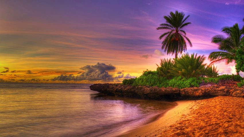 Playa de ensueño, puesta de sol, tropical, mar, palmera, colores, nubes, cielo fondo de pantalla