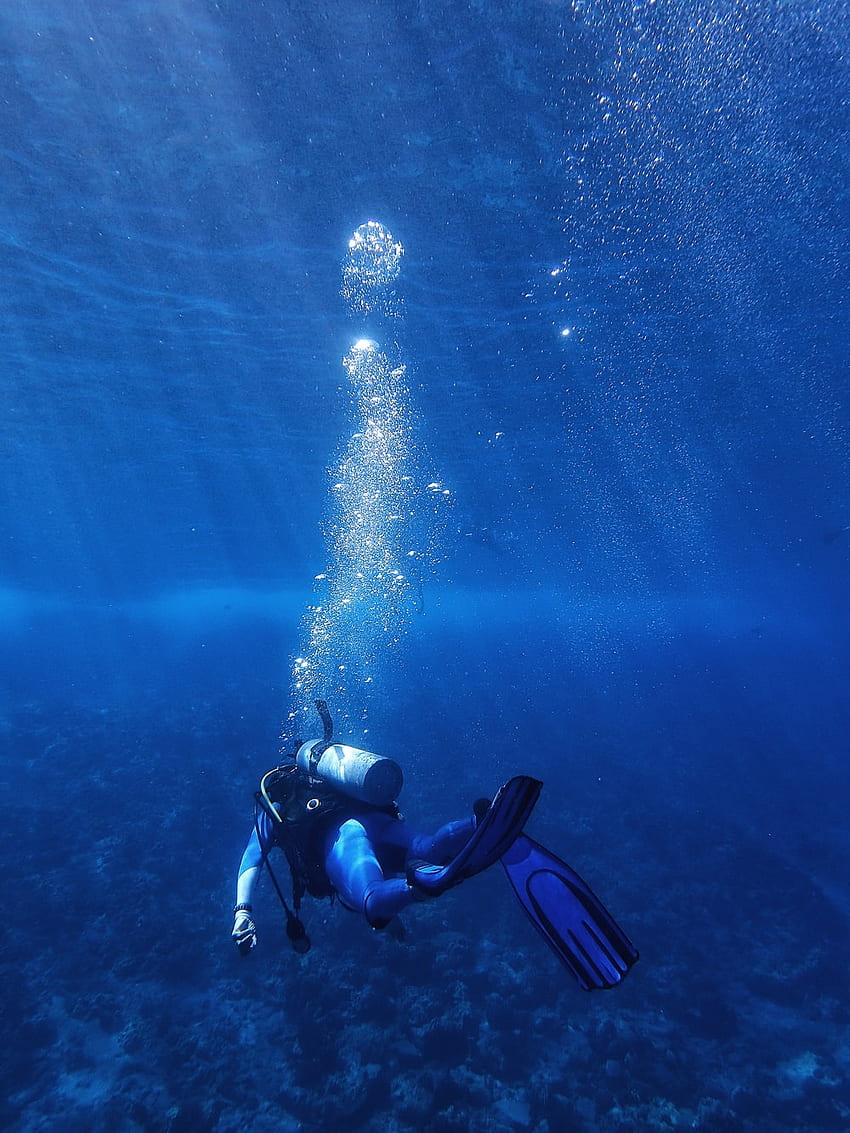 Scuba Diving [], Deep Sea Diver HD phone wallpaper