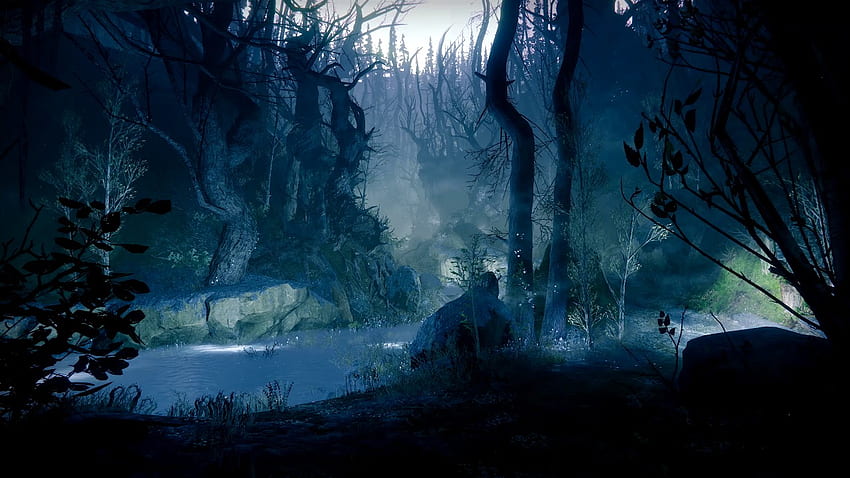 The Dark Forest Destiny 2 [Live ] [] สำหรับมือถือและแท็บเล็ตของคุณ สำรวจป่ามืด ป่ามืด, ป่ามืด, ป่ามืด, แล็ปท็อปป่ามืด วอลล์เปเปอร์ HD