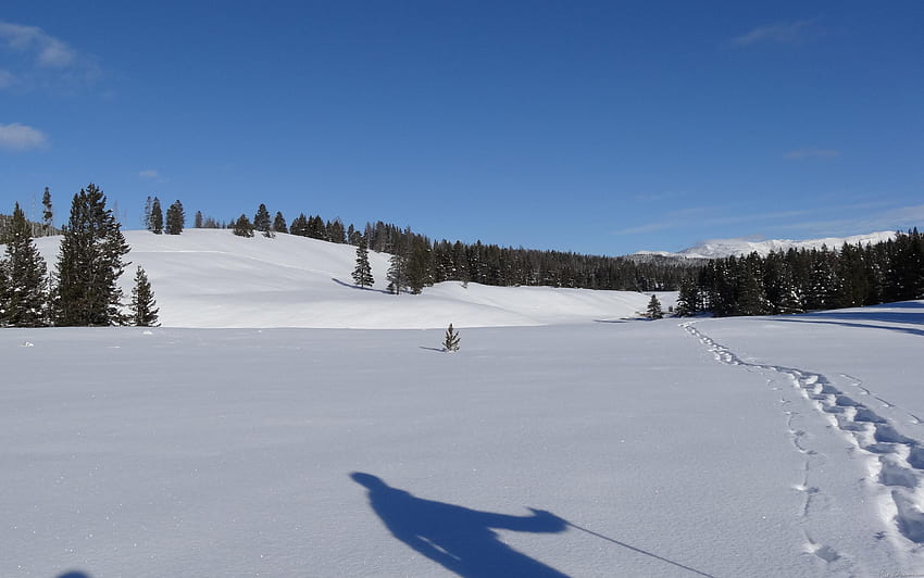Yellowstone'da kar ayakkabısıyla yürüyüş, Yellowstone Winter HD duvar kağıdı