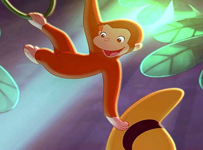 Cheeky Monkey, swinging on vines, monkey, sunbeams, jungle, hat HD wallpaper